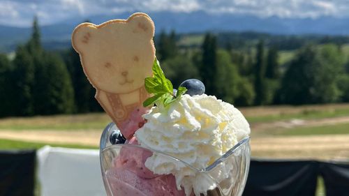 Unique seasonal ice cream flavors at Kotelnica Cafe – now in four locations!